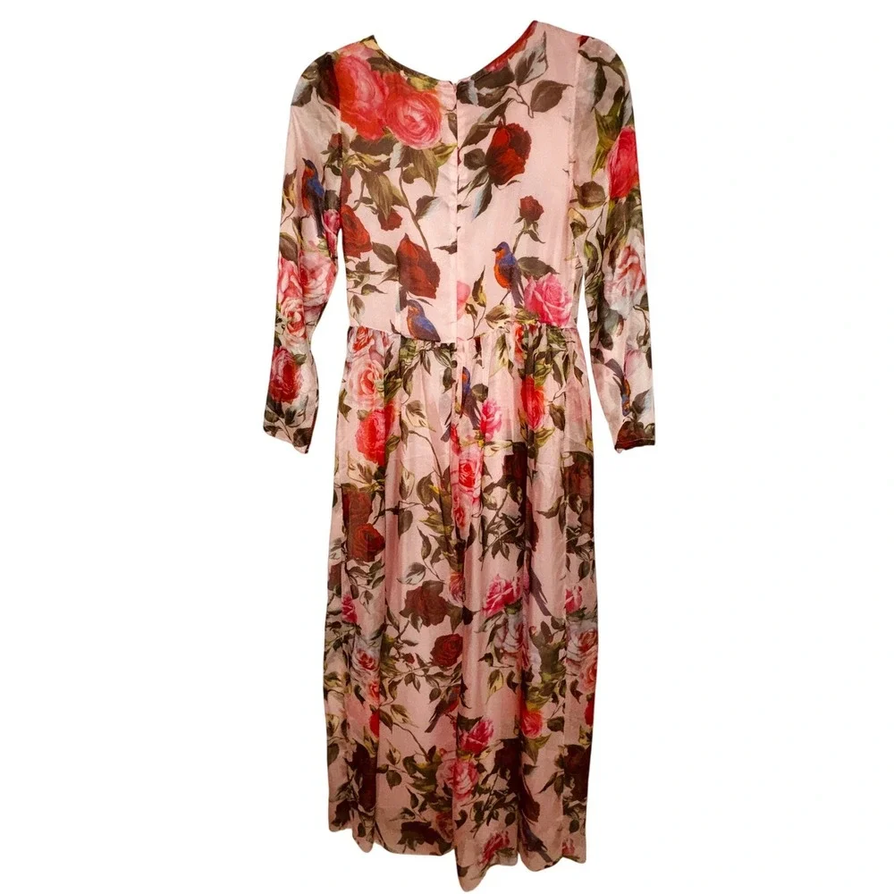 Chi Pink Floral Bird Print Maxi Dress Long Sleeve Sheer Overlay XS Cottage Fairy